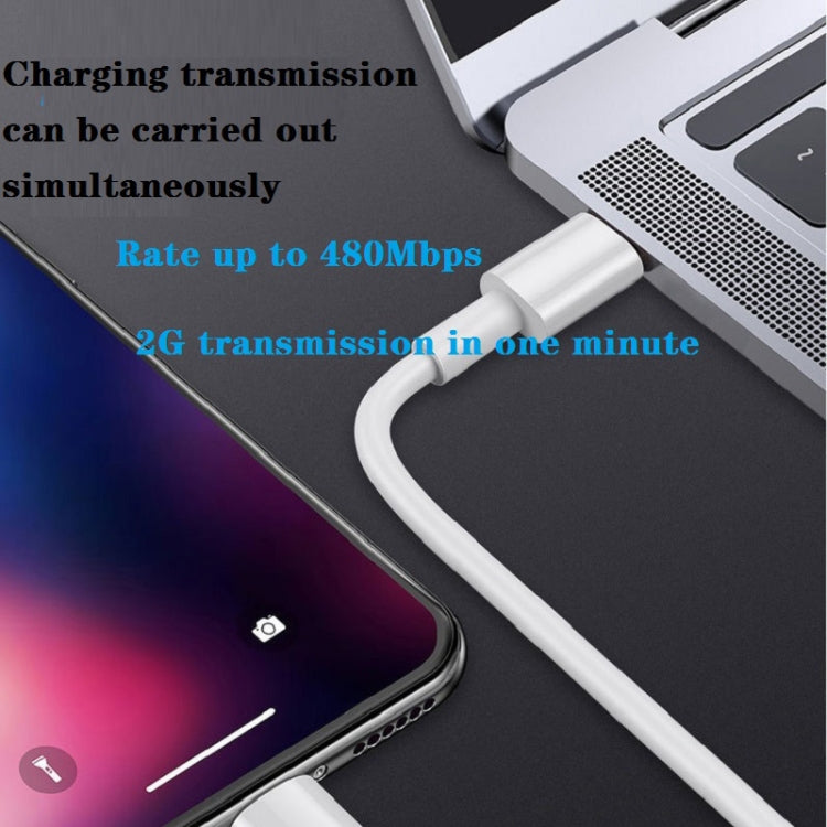 Caricatore da viaggio USB-C PD 20W con cavo dati 1 m