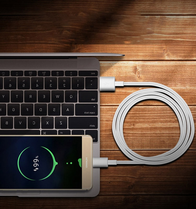 Cavo ricarica rapida USB-C 3 metri 2,4A per smartphone