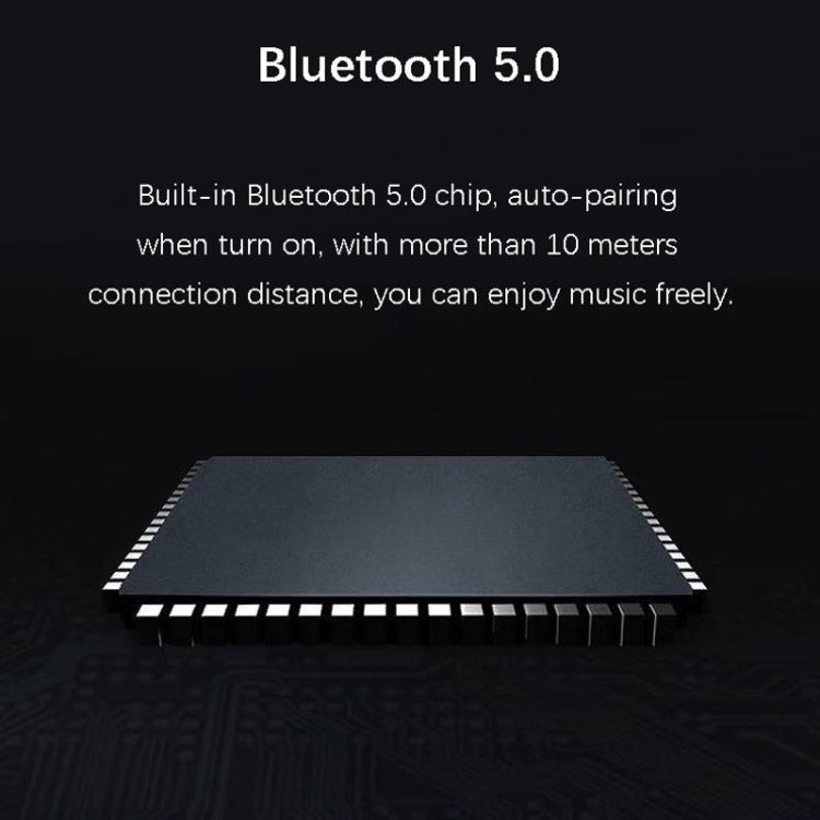 EWA A110 IPX5 Mini altoparlante Bluetooth wireless portatile impermeabile in metallo Supporta audio da 3,5 mm e scheda TF da 32 GB e chiamate