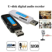 SK001 Professionale Ricaricabile U-Disk Portatile USB Audio Digitale Registratore Vocale Penna Supporto TF Card Fino a 32 GB Dittafono Flash Drive, 32GB