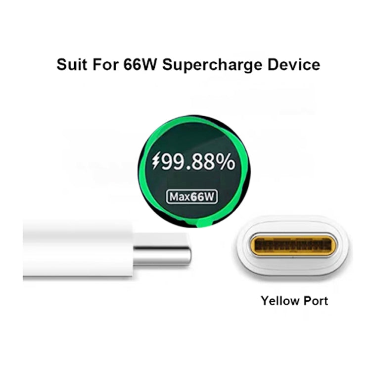 Caricabatterie da viaggio USB 66W con cavo Tipo C