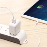 Caricatore USB 12W con cavo dati per iPhone iPad iPod