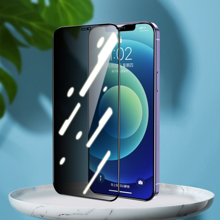 ENKAY Hat-Prince Full Coverage 28 Degree Privacy Screen Protector Pellicola in vetro temperato anti-spia, For iPhone 12 / 12 Pro, For iPhone 12 mini, For iPhone 12 Pro Max, For iPhone 11 Pro / XS / X, For iPhone 11 / XR, For iPhone 11 Pro Max