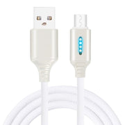 Cavo di interruzione automatica intelligente dell'alimentazione per lega di zinco nella linea dati ad emissione di luce di una lampada Zhuo, white, black, glod, rose gold