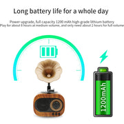 Altoparlante wireless retro B5