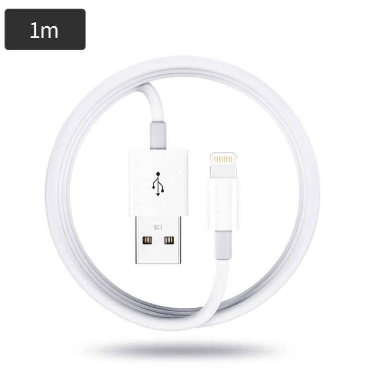 Mini caricatore USB doppia porta con cavo 8 pin