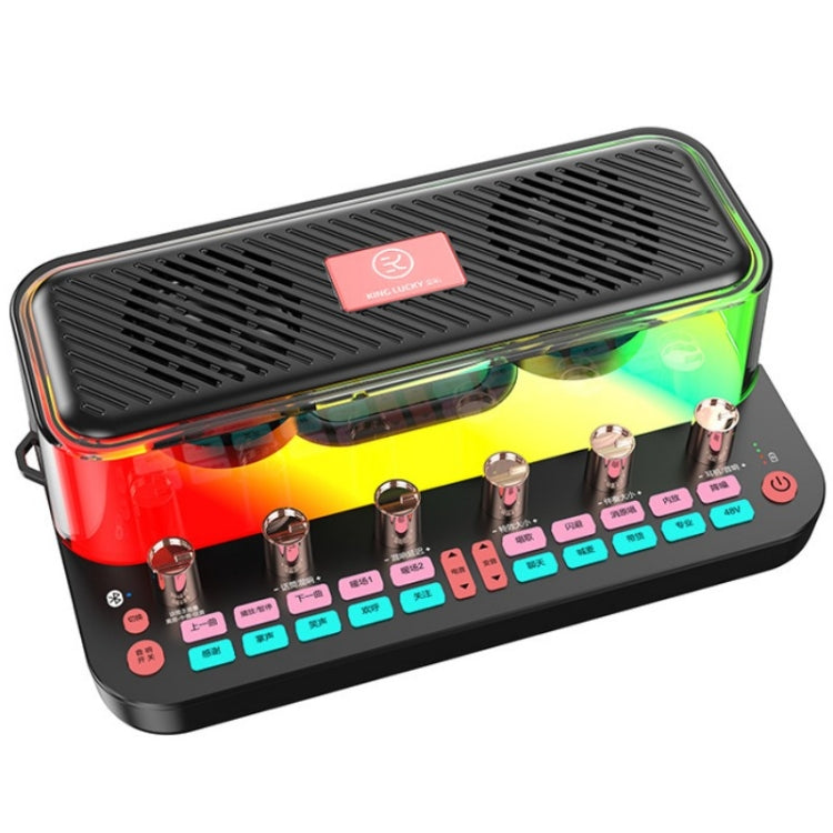 Scheda audio karaoke con microfono integrato C18