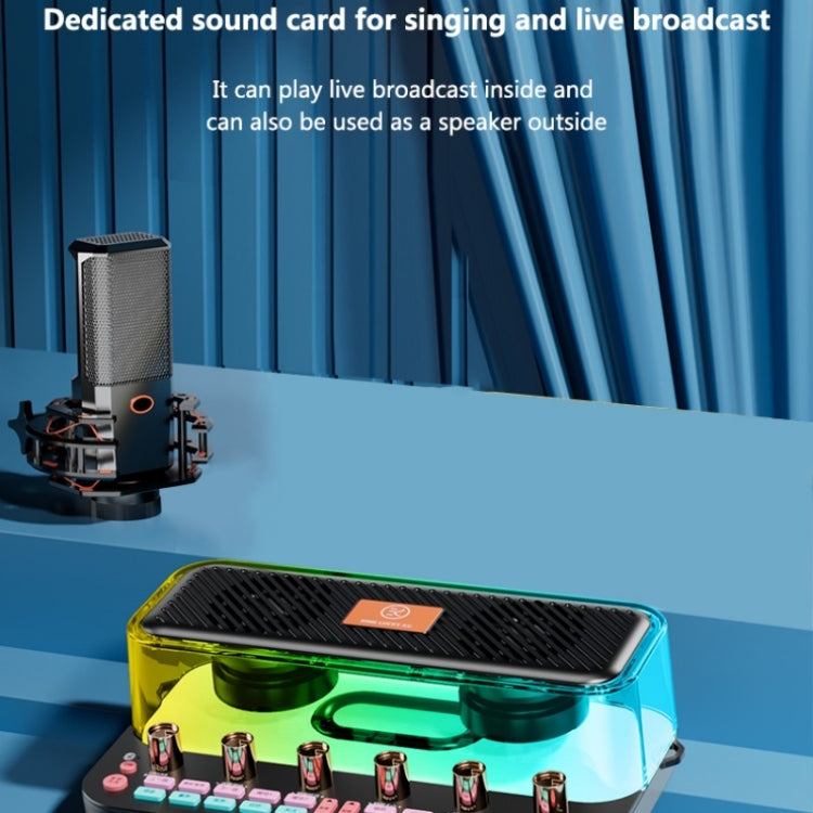 Scheda audio karaoke con microfono integrato C18