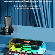 Scheda audio karaoke con microfono integrato C18