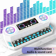 X20 Altoparlante Bluetooth Karaoke Multifunzione 35cm