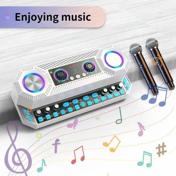 X20 Altoparlante Bluetooth Karaoke Multifunzione 35cm