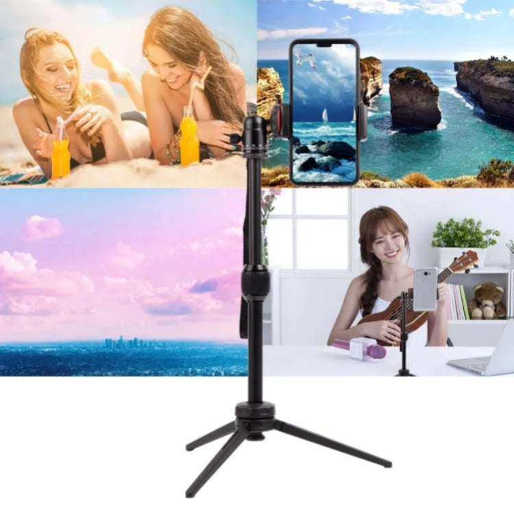 Le migliori offerte per JMARY MT68 Treppiede Telescopico Portatile Selfie Mini Fotocamera SLR in Lega di Alluminio sono su ✓ Confronta prezzi e caratteristiche di prodotti nuovi e usati ✓ Molti articoli con consegna gratis!, MT68
