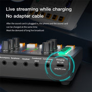 Scheda audio live BM800 con microfono a condensatore