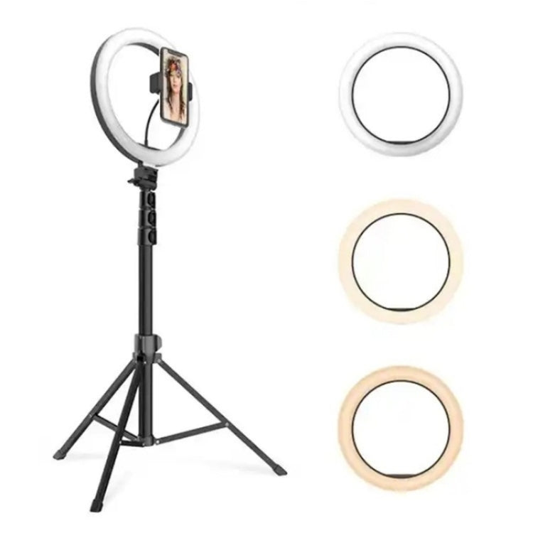 JMARY FM-536A Set di luci di bellezza con supporto in streaming per luce di riempimento live da 10 pollici, FM-536A