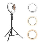 Set luci di bellezza 10" con treppiede regolabile FM-536A
