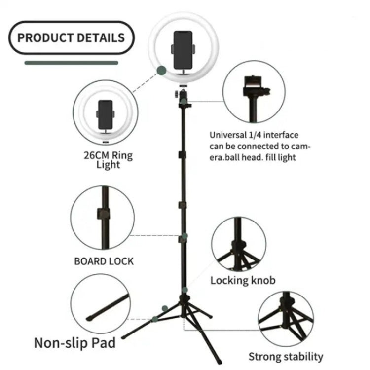 Set luci di bellezza 10" con treppiede regolabile FM-536A