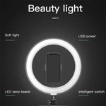 Set luci di bellezza 10" con treppiede regolabile FM-536A