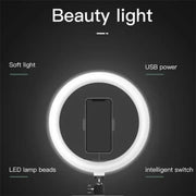 Set luci di bellezza 10" con treppiede regolabile FM-536A