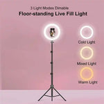Set luci di bellezza 10" con treppiede regolabile FM-536A