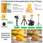 Weeylite S03 Luce RGB portatile per video e fotografia