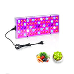 25W 75LED Illuminazione a spettro completo per piante Fitolampy per piante Fiori Piantina Coltivazione Lampade a LED Coltiva la luce AC85-265V, US, EU