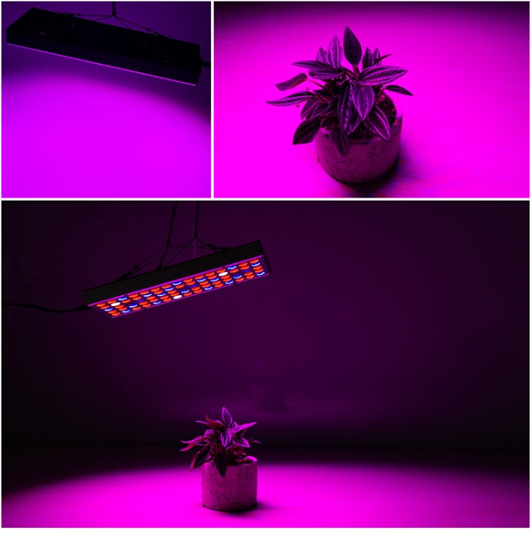 25W 75LED Illuminazione a spettro completo per piante Fitolampy per piante Fiori Piantina Coltivazione Lampade a LED Coltiva la luce AC85-265V, US, EU