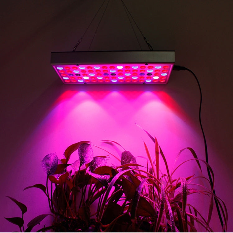 25W 75LED Illuminazione a spettro completo per piante Fitolampy per piante Fiori Piantina Coltivazione Lampade a LED Coltiva la luce AC85-265V, US, EU