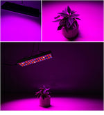 25W 75LED Illuminazione a spettro completo per piante Fitolampy per piante Fiori Piantina Coltivazione Lampade a LED Coltiva la luce AC85-265V, US, EU