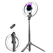 Lampada ad anello 10 pollici con treppiede e selfie stick