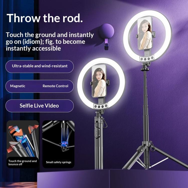 Lampada ad anello 10 pollici con treppiede e selfie stick