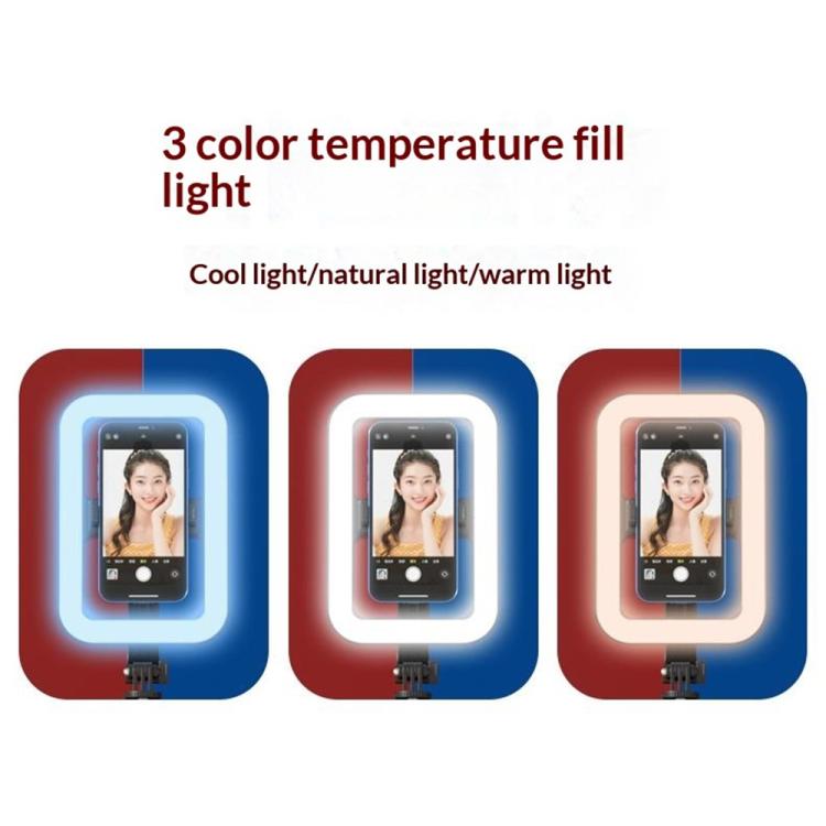Anello luminoso P99X 8 pollici per streaming e fotografia