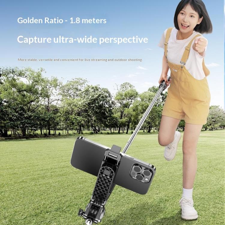 Stabilizzatore portatile P18TK con treppiede e selfie stick