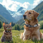 Copertura protettiva impermeabile per animali domestici (cani e gatti), For AirTag 2nd Gen / AirTag 1st Gen