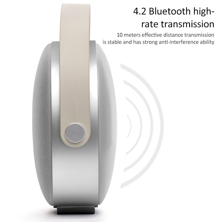 Altoparlante HIFI W-KING T8 Altoparlante Bluetooth portatile ad alta potenza da 30 W Wireless con radio FM per altoparlante Bluetooth mobile