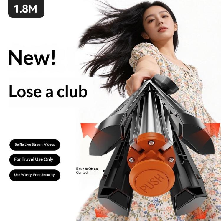 Alt immagine