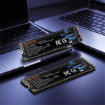 SSD HEYGATE H2000 PCIe 3.0 NVMe 2400MB/s in lettura 3D NAND M.2 2280, 256G, 512G