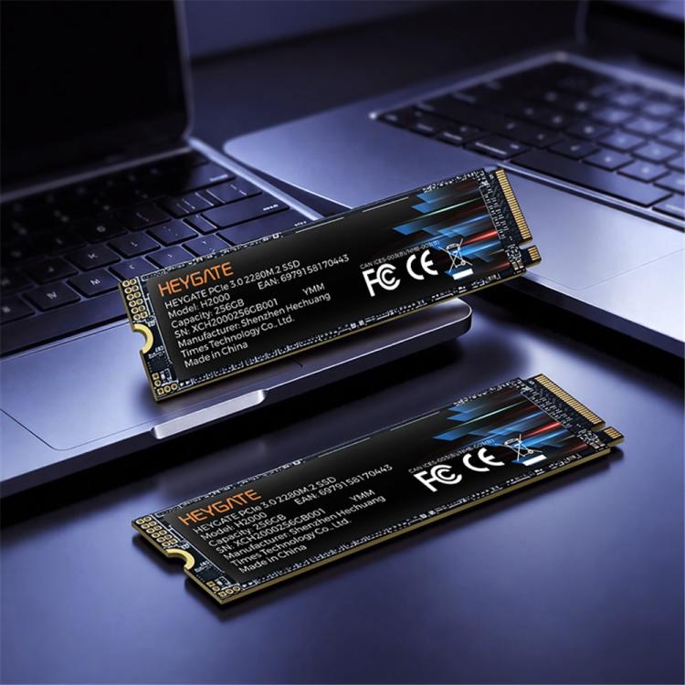 SSD HEYGATE H2000 PCIe 3.0 NVMe 2400MB/s in lettura 3D NAND M.2 2280, 256G, 512G