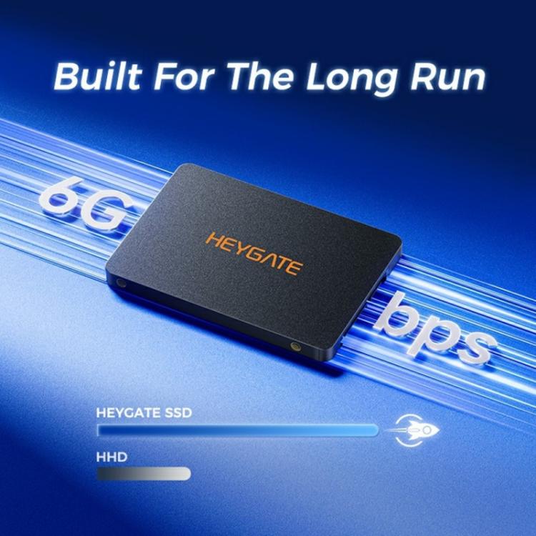 HEYGATE H1000 Internal Solid State Drive 560MB/s Read Speed 2.5 inch SATA3 SSD, 128GB, 256GB