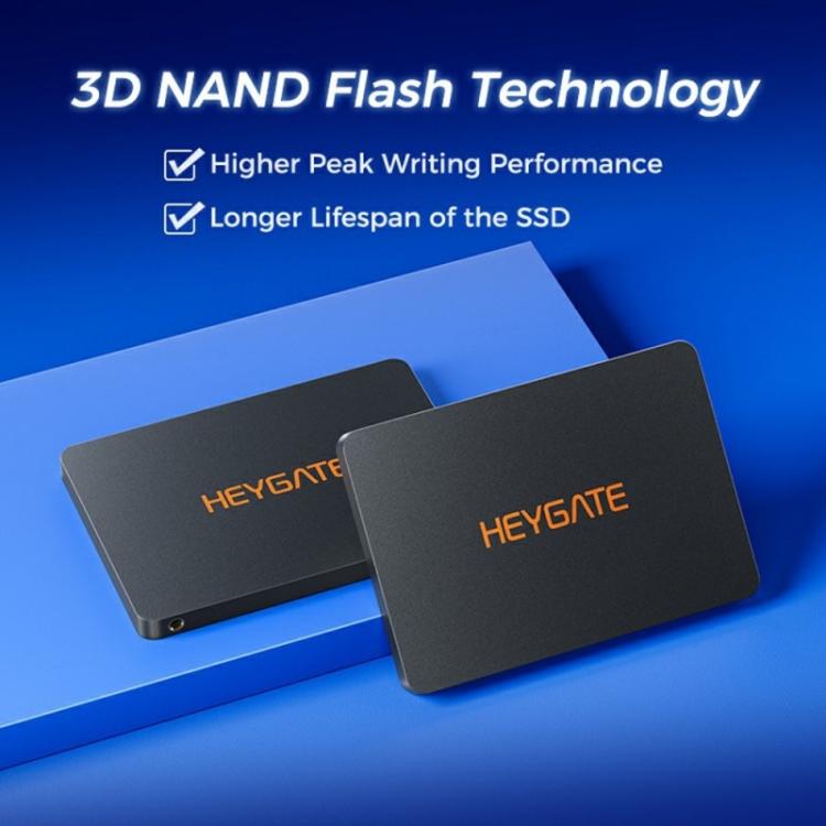 HEYGATE H1000 Internal Solid State Drive 560MB/s Read Speed 2.5 inch SATA3 SSD, 128GB, 256GB