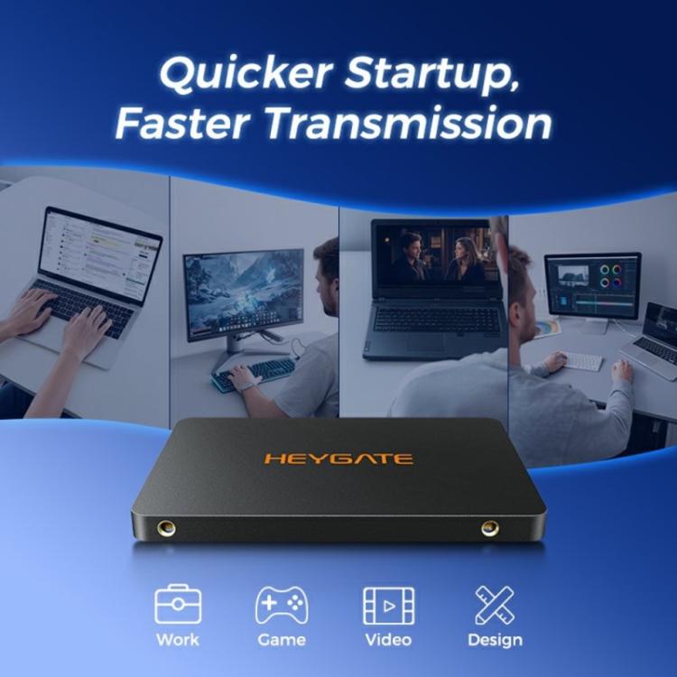 HEYGATE H1000 Internal Solid State Drive 560MB/s Read Speed 2.5 inch SATA3 SSD, 128GB, 256GB