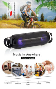 Altoparlante Bluetooth portatile LZ33