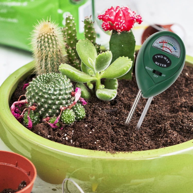 Tester PH e Umidità del Suolo RZ103 per Giardinaggio