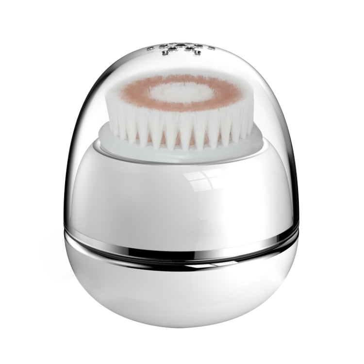 Spazzola elettrica viso ricaricabile USB impermeabile