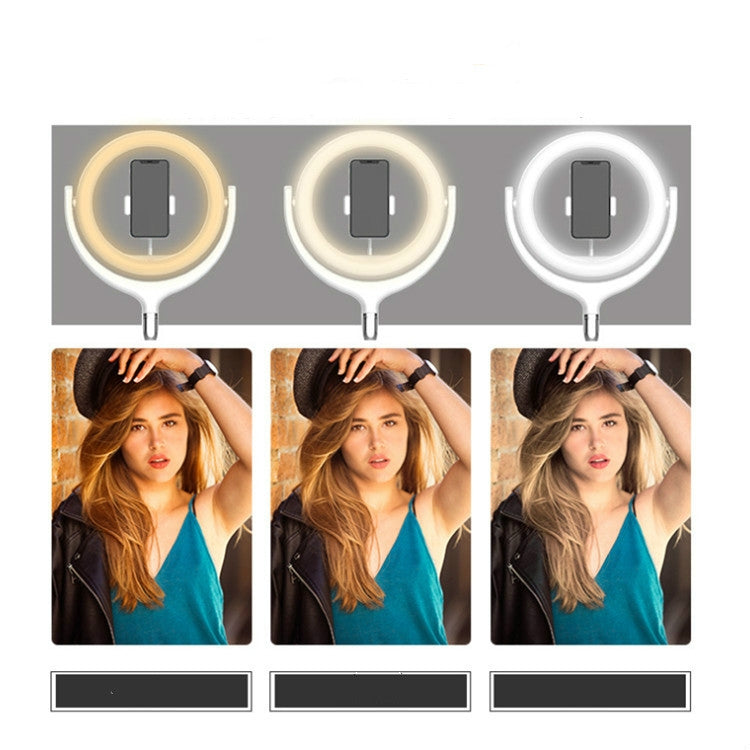 Luce di riempimento LED 12 pollici con staffa da tavolo USB