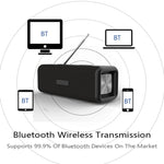 T9 Wireless Bluetooth 4.2 Altoparlante 10W Sound Box portatile FM Radio digitale 3D Surround Stereo, supporto vivavoce e TF e AUX