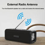 T9 Wireless Bluetooth 4.2 Altoparlante 10W Sound Box portatile FM Radio digitale 3D Surround Stereo, supporto vivavoce e TF e AUX