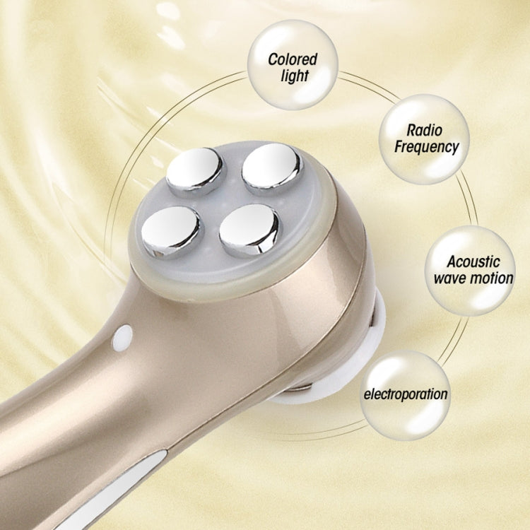 OFY9901 Pelle del viso EMS Mesoterapia Elettroporazione Radiofrequenza RF Facciale LED Photon Cura della pelle Face Lift Stringere Rimuovi rughe