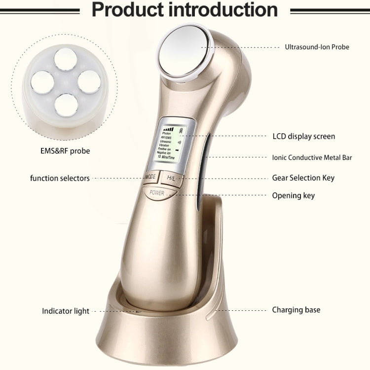 OFY9901 Pelle del viso EMS Mesoterapia Elettroporazione Radiofrequenza RF Facciale LED Photon Cura della pelle Face Lift Stringere Rimuovi rughe