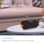 Nuovo altoparlante Bluetooth con soundbar surround stereo portatile Rixing NR907 con microfono, supporto TF Card FM