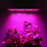 45W 144LED Illuminazione a spettro completo per piante Fitolampy per piante Fiori Piantina Coltivazione Lampade a LED Coltiva la luce AC85-265V, US, EU, AU, UK
